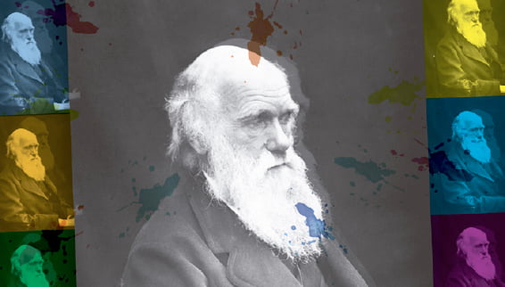 Darwin y la creatividad