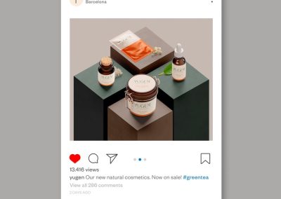 Mockup instagram