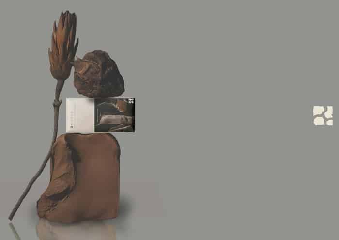 Proyecto Cacao final de Isabel Burón