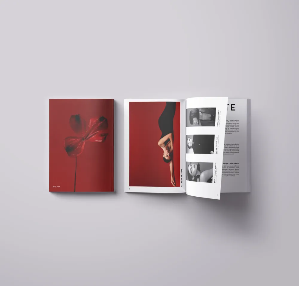 Revista de moda