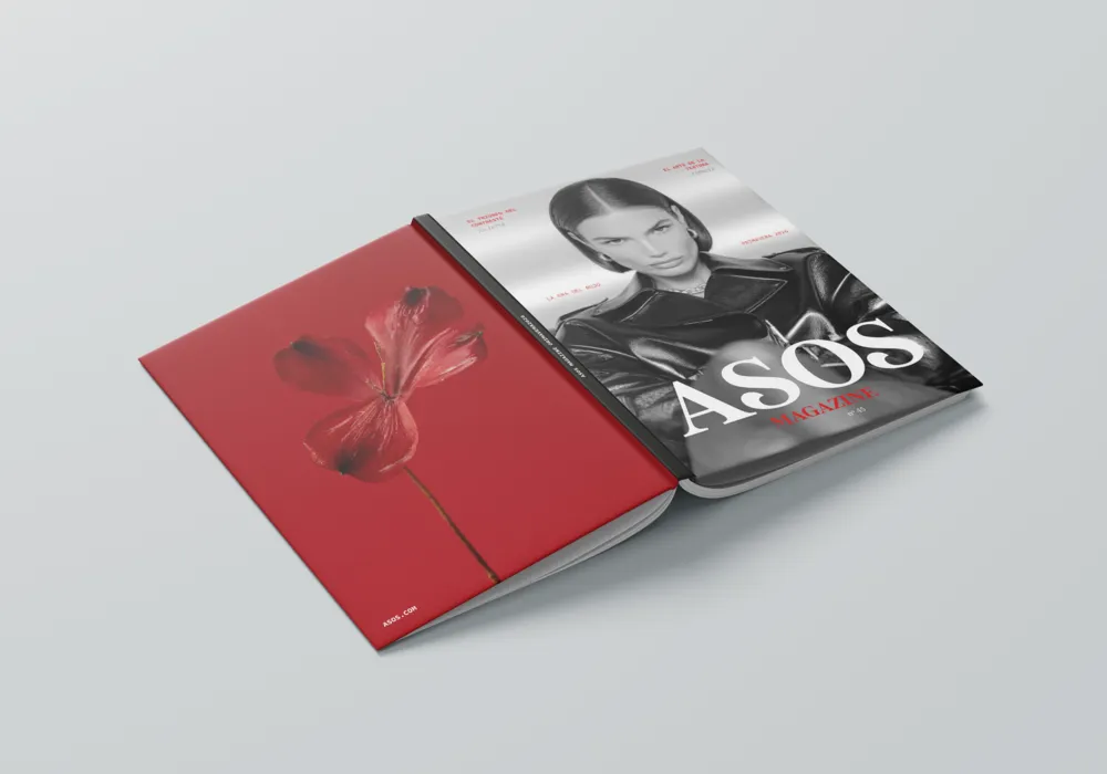 Proyecto Revista